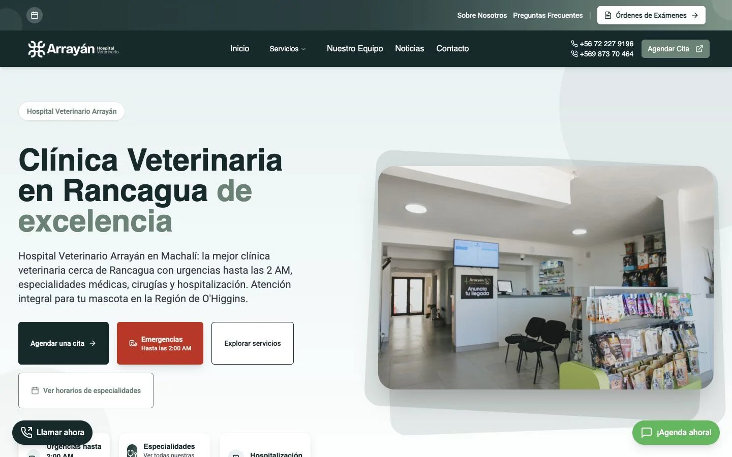 Desktop view of the Hospital Veterinario Arrayán website with local services and direct actions
